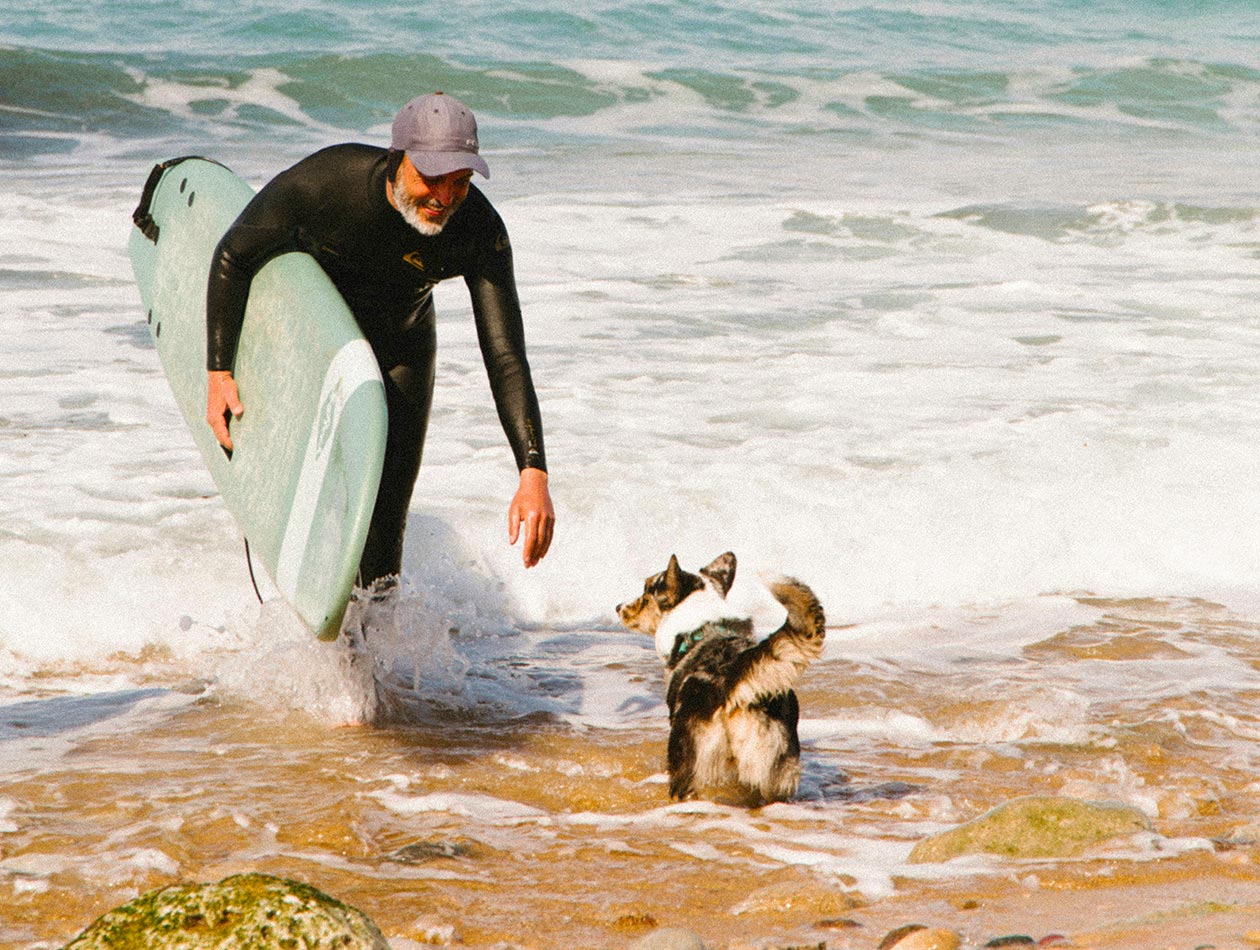 Mann mit weißem Bart kommt mit Surfbrett aus dem Wasser, wir von Hund begrüßt