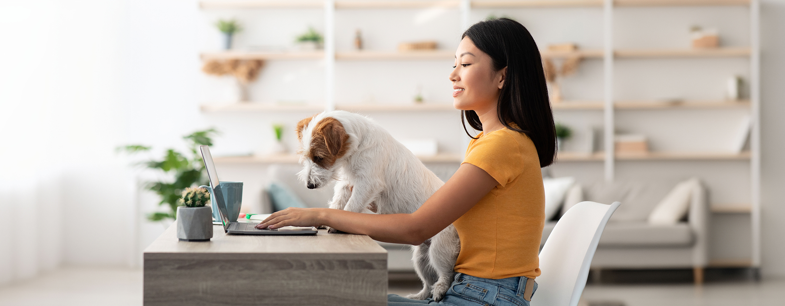 Hund im Büro